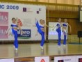 /album/kladno-duben-09-sa-fa/p6020217-jpg/